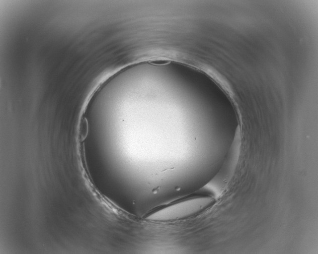 X0000058141104200510072025