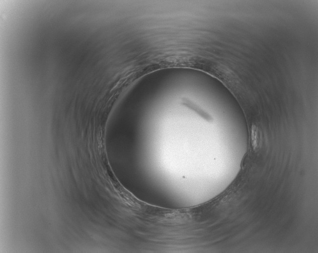 X0000058141107200510072024