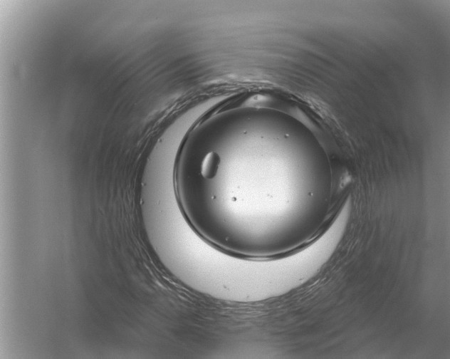 X0000058141110200510072024