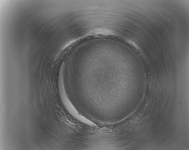 X0000058141112200510072024