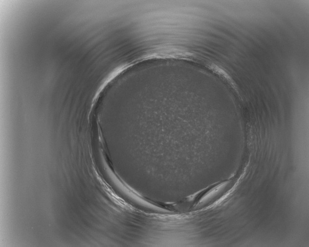 X0000058141114200510072024