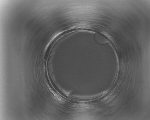 X0000058141115200510072024