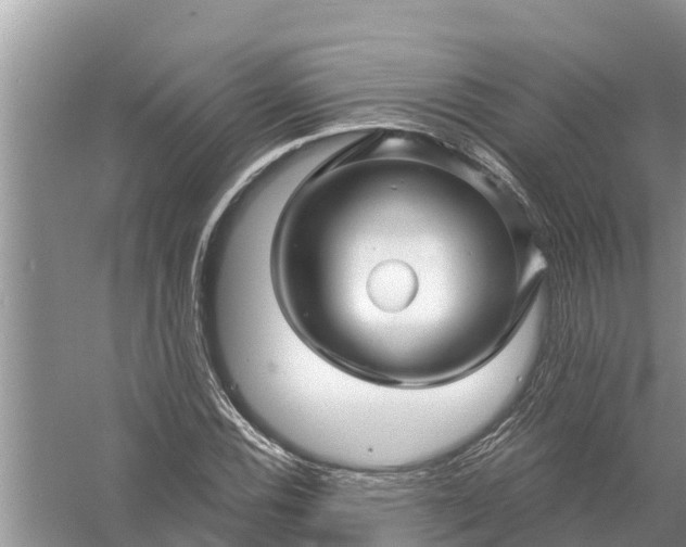 X0000058141116200510072024