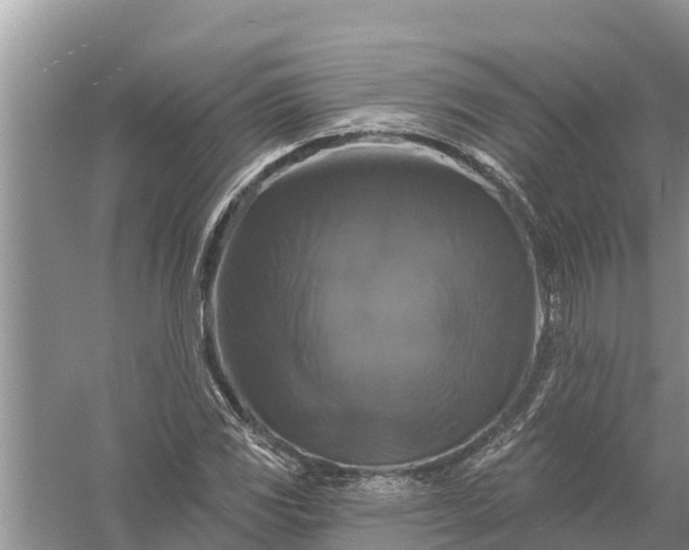 X0000058141117200510072024