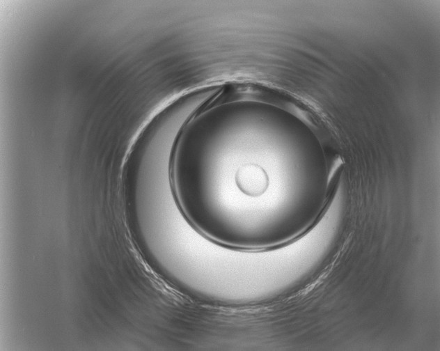 X0000058141118200510072024