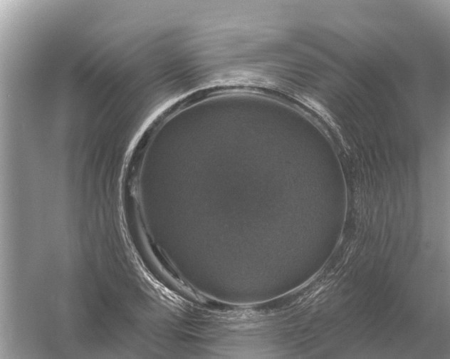 X0000058141120200510072024