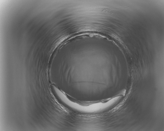 X0000058141121200510072024