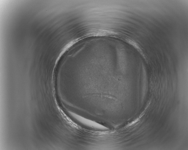 X0000058141122200510072024