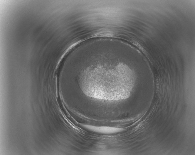 X0000058141123200510072024