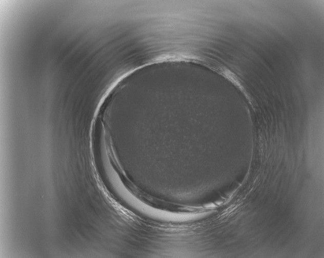 X0000058141124200510072024