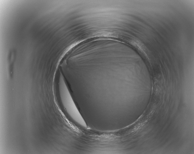 X0000058141125200510072024