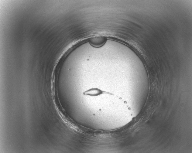 X0000058141126200510072024