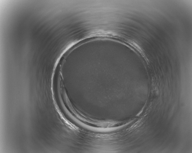 X0000058141128200510072024