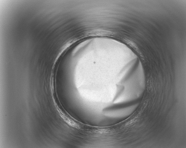 X0000058141130200510072024