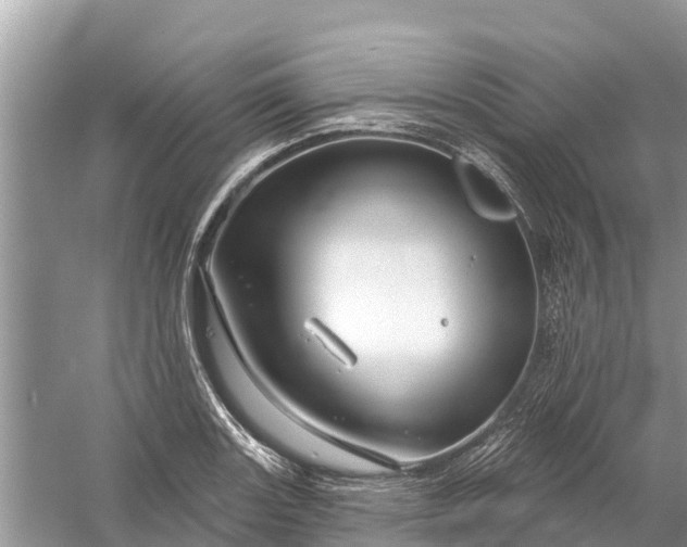 X0000058141131200510072024