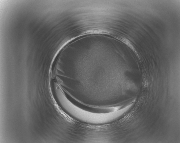 X0000058141132200510072024