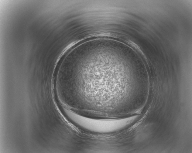 X0000058141133200510072024