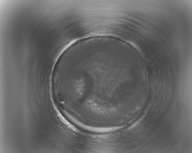 X0000058141134200510072024