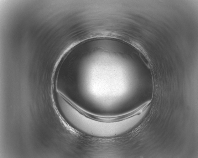 X0000058141136200510072024