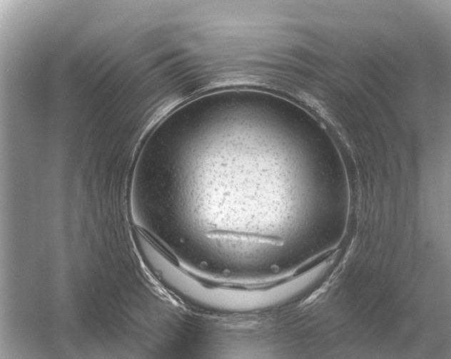 X0000058141137200510072024