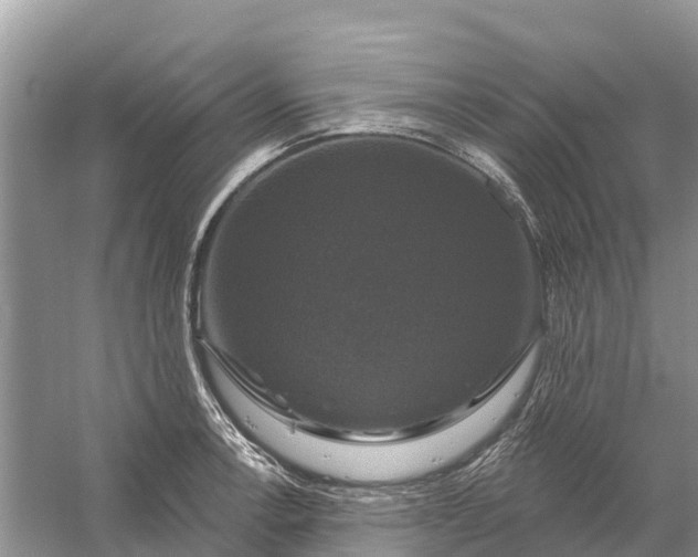 X0000058141138200510072024