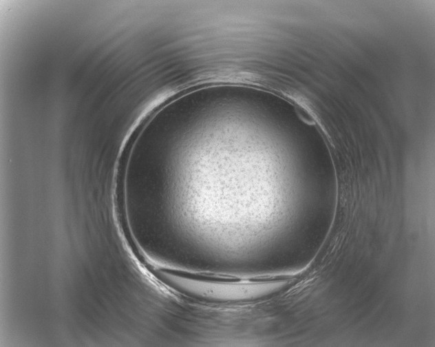 X0000058141139200510072024