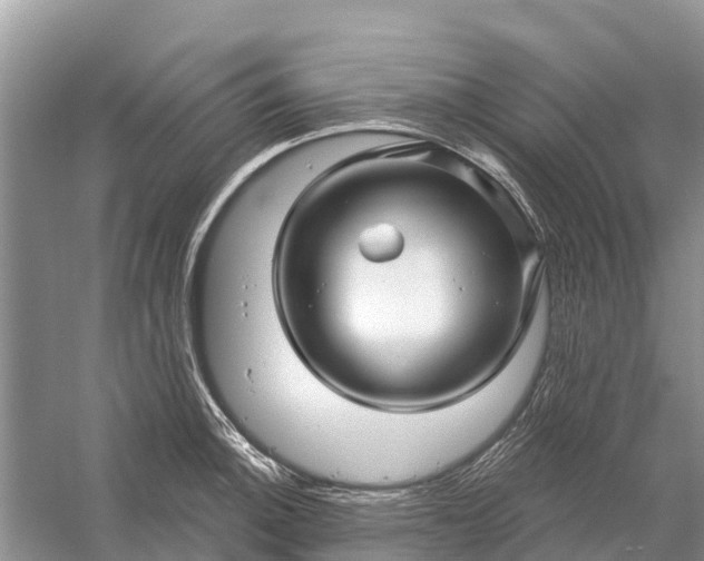 X0000058141140200510072024