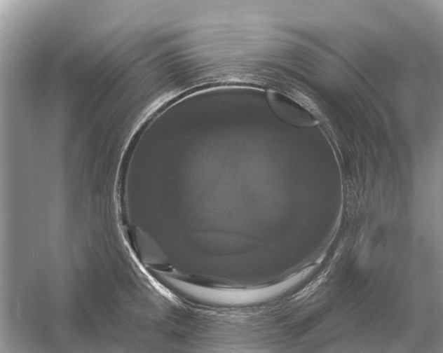 X0000058141141200510072024