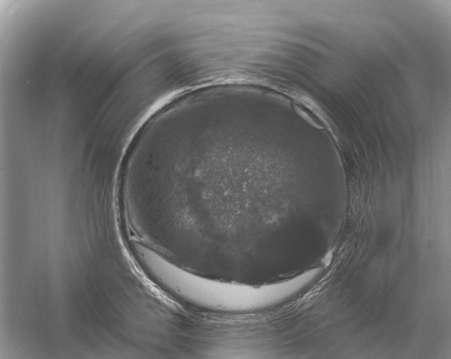 X0000058141142200510072024