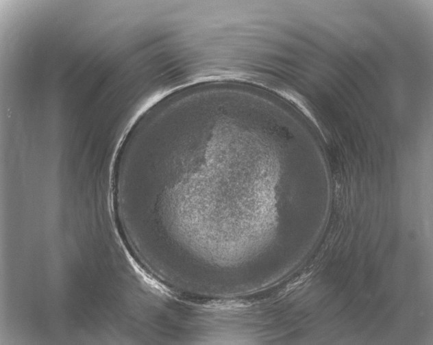 X0000058141143200510072024