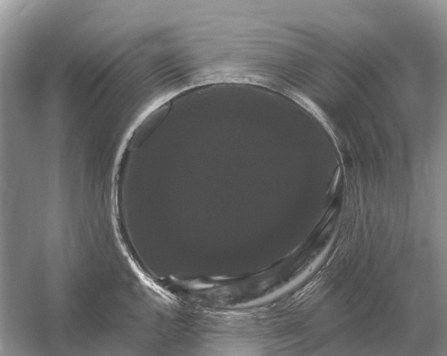 X0000058141144200510072024