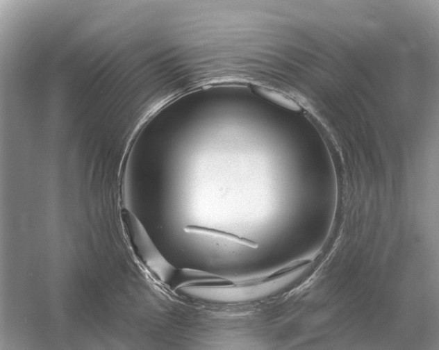 X0000058141145200510072025