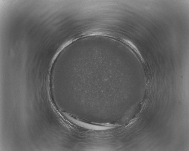 X0000058141146200510072025