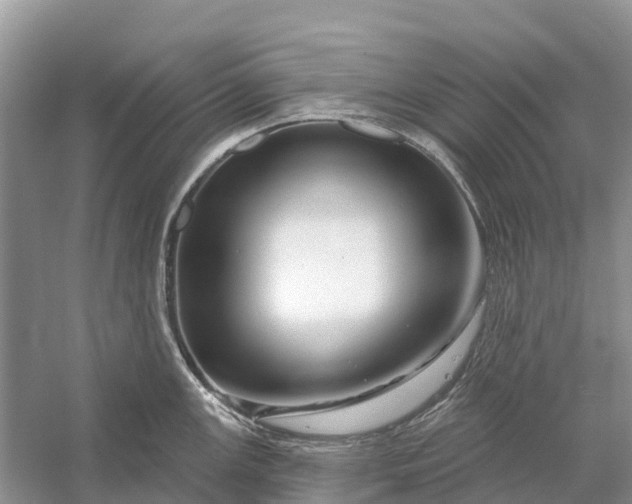 X0000058141147200510072025