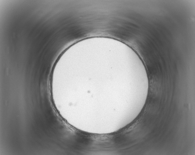 X0000058141150200510072025