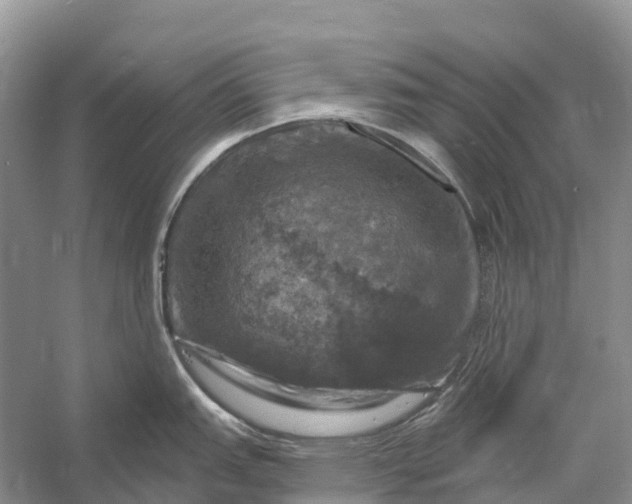 X0000058141151200510072025