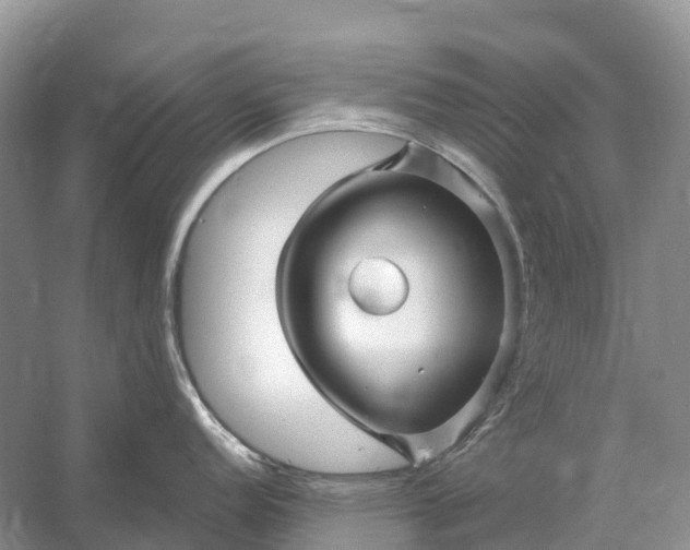 X0000058141152200510072025