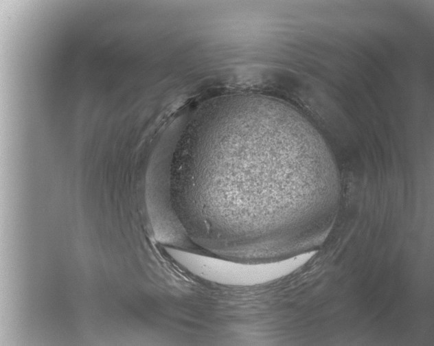 X0000058141153200510072024