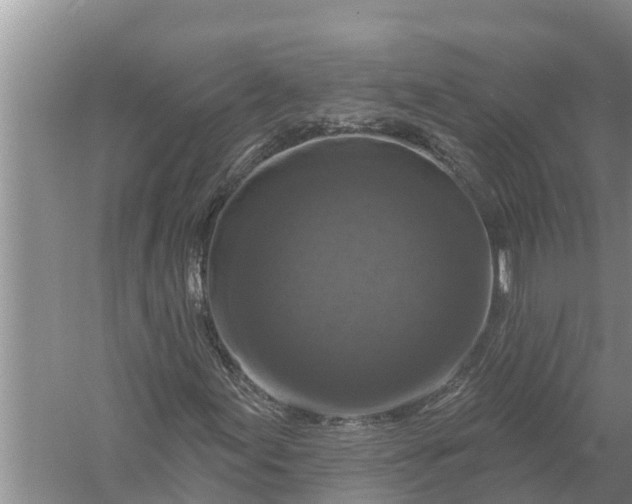 X0000058141155200510072024