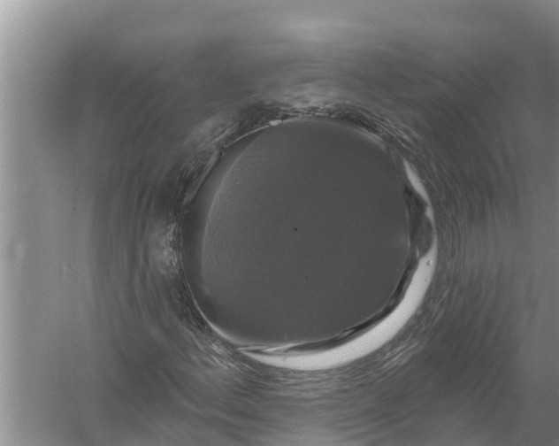 X0000058141156200510072024