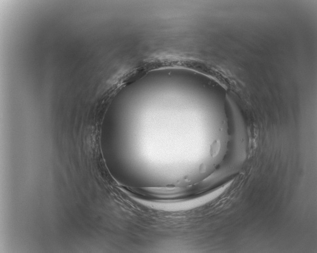 X0000058141157200510072024