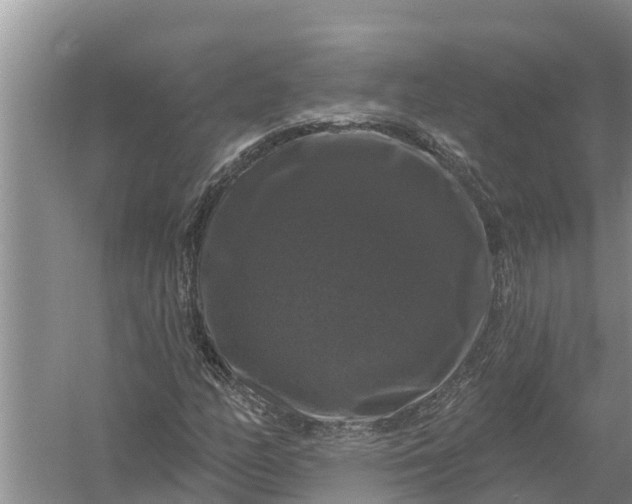 X0000058141158200510072024