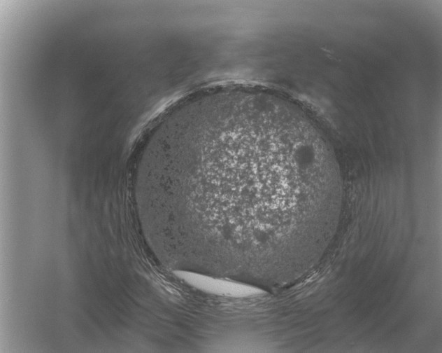 X0000058141159200510072024