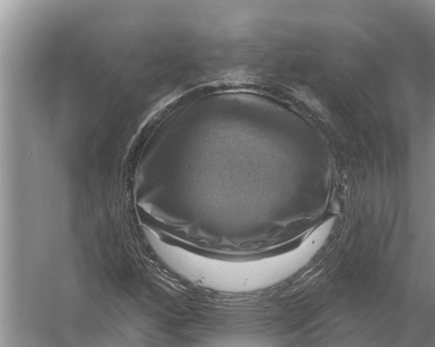 X0000058141160200510072024