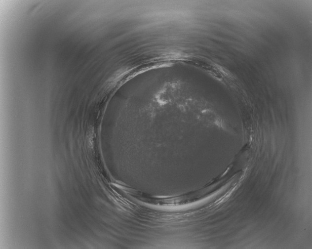 X0000058141161200510072024