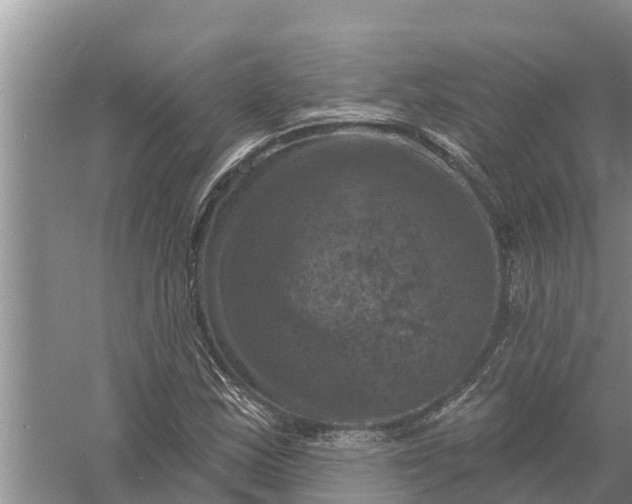 X0000058141163200510072024