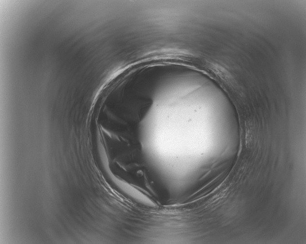 X0000058141164200510072024