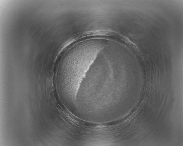 X0000058141166200510072024