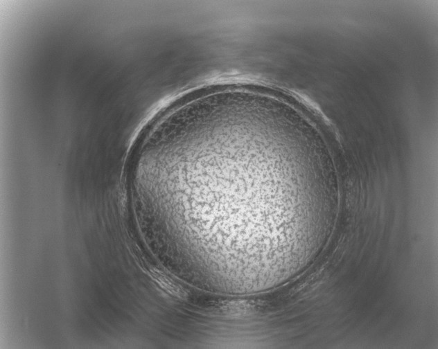 X0000058141167200510072024