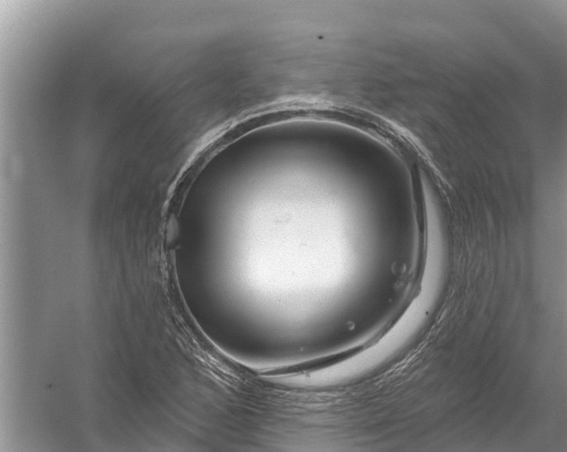 X0000058141168200510072024